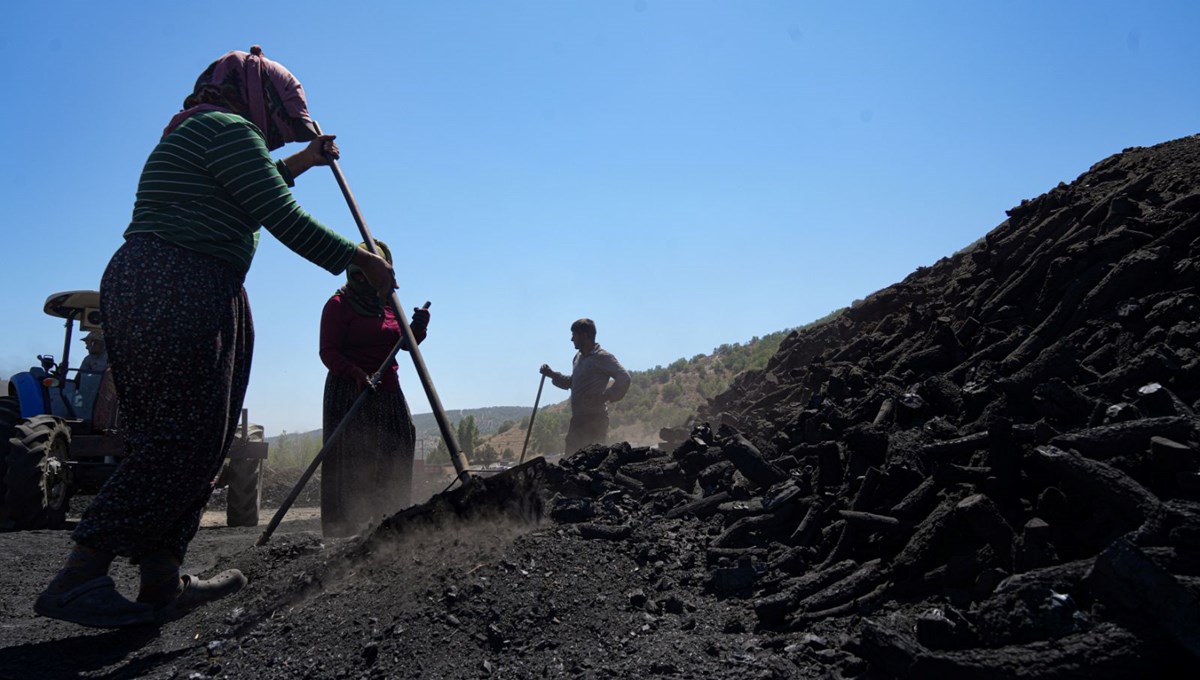 İlkbaharda başlıyor, sonbaharda bitiyor: Ekmeklerini kömürden çıkarıyorlar