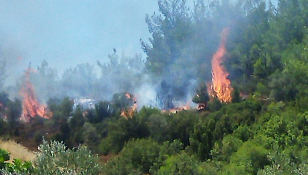 Muğla, Hatay ve Eskişehir'de çıkan orman yangınları kontrol altına alındı