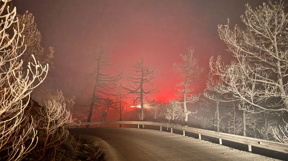 Sakarya'da iki mahalle tahliye edildi: Alevlerle mücadele gece boyu sürdü - 14