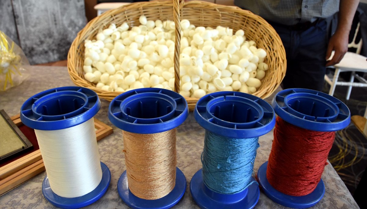 Koza üretimi hibe destekleriyle artacak