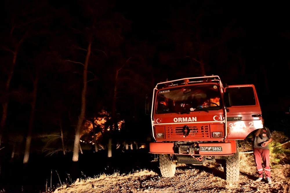 Hatay ve Mersin'de orman yangını - 24