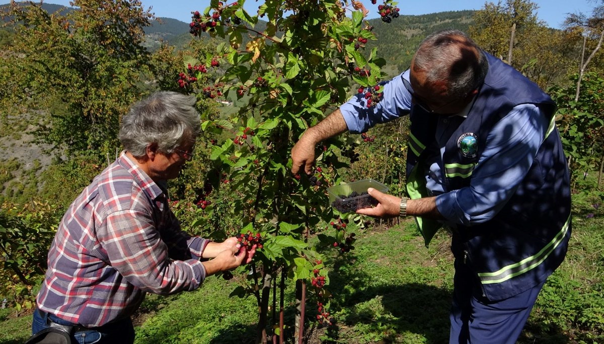 15 yıl önce köyüne döndü, üretmeye başladı: Doğanın şifasını sofralara taşıyor