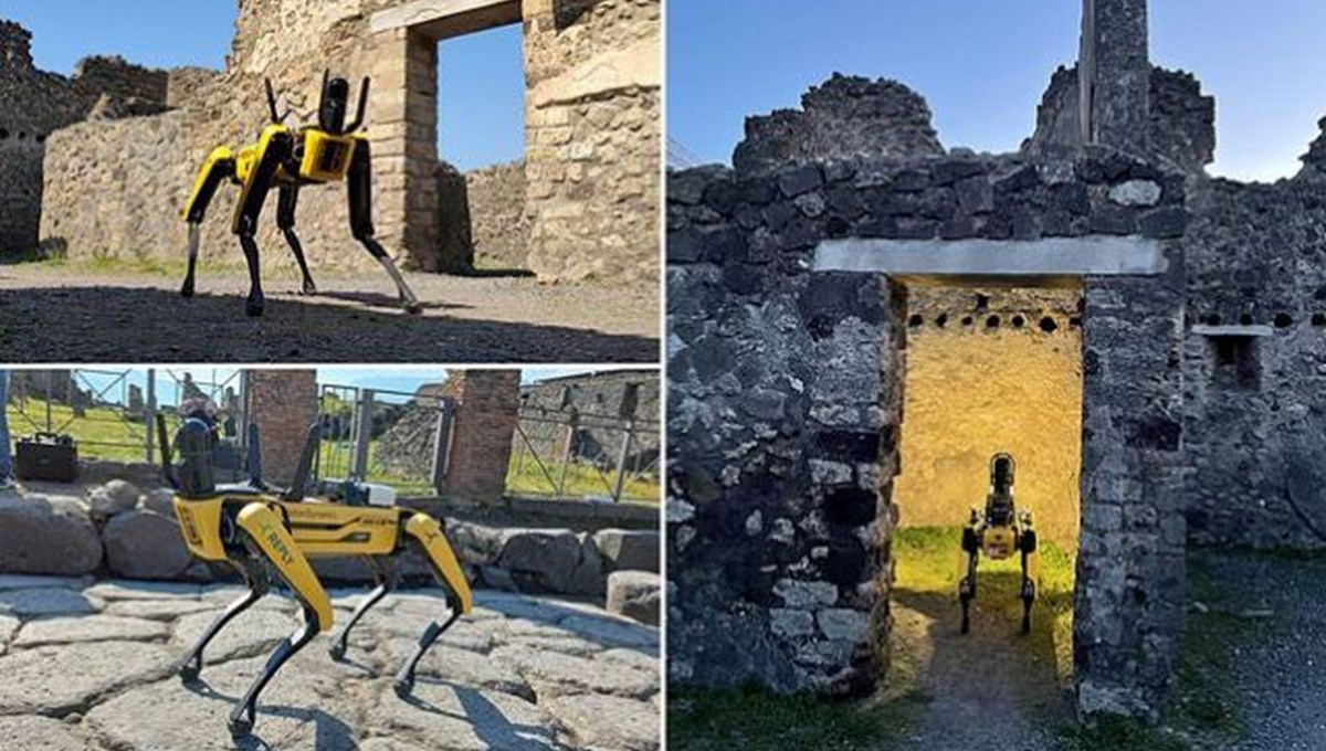 Pompeii robot köpek Spot'a emanet: Define avcılarıyla savaşacak