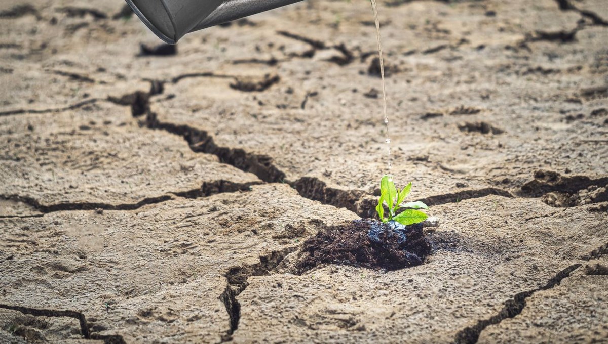 Dünya Su Günü: 2050 yılına kadar suya ulaşamayanların sayısı iki katına çıkacak Dünya Su Günü: 2050 yılına kadar suya ulaşamayanların sayısı iki katına çıkacak