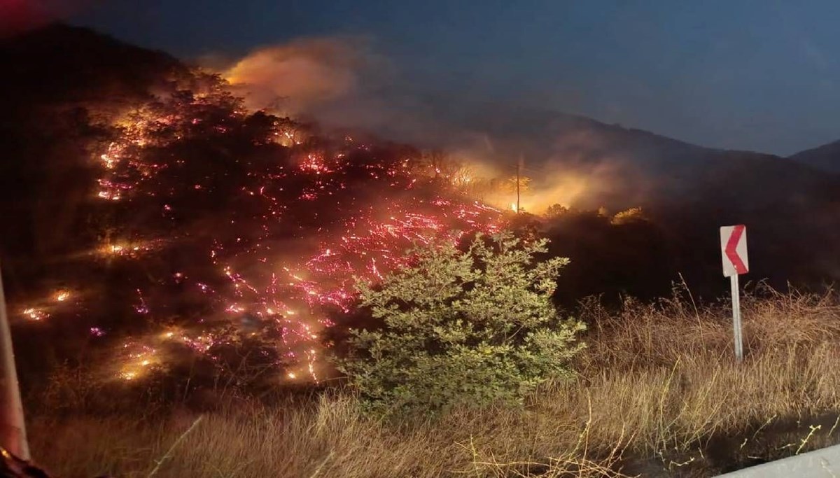 Alevler büyümeden kontrol altına alındı
