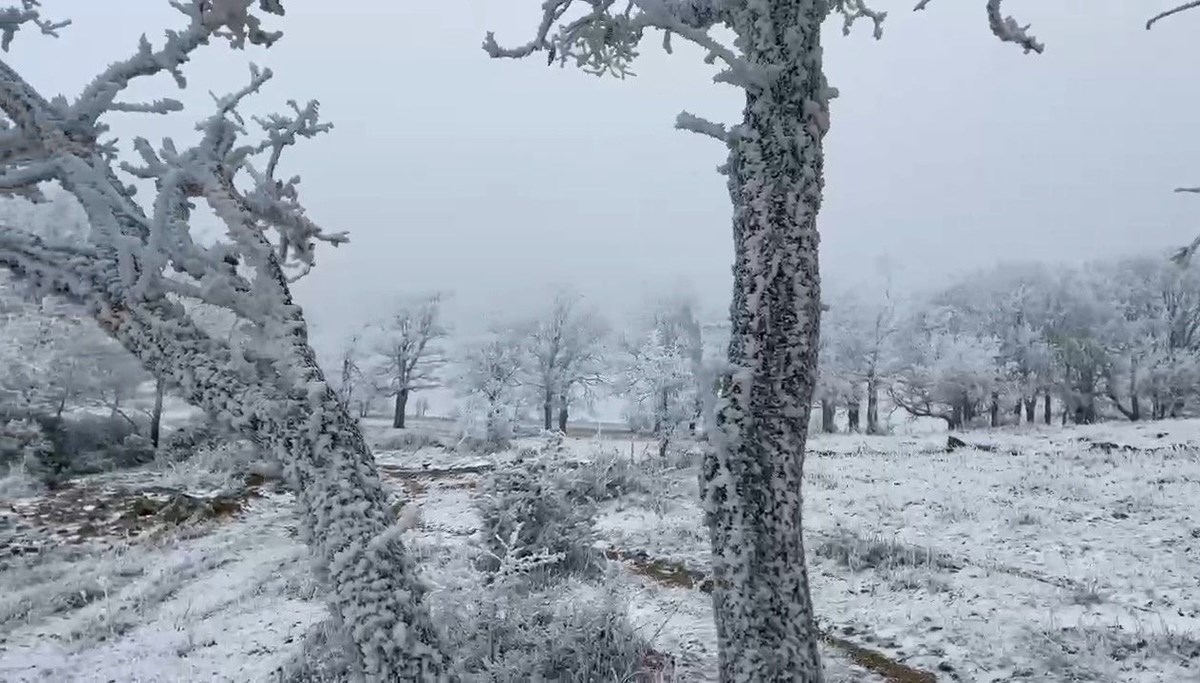 Tekirdağ'ın yüksek kesimleri beyaza büründü