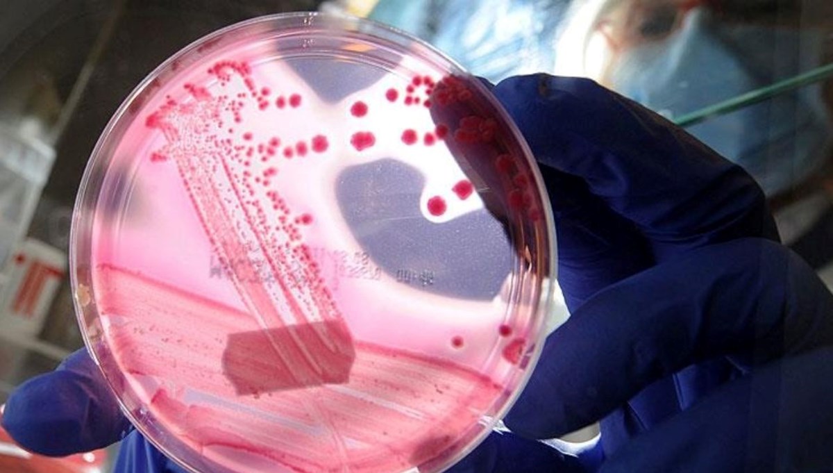 AP2A1 proteini nedir, nasıl baskılanır? Bilim insanlarından yaşlanmayı unutturan keşif AP2A1 proteini nedir, nasıl baskılanır? Bilim insanlarından yaşlanmayı unutturan keşif