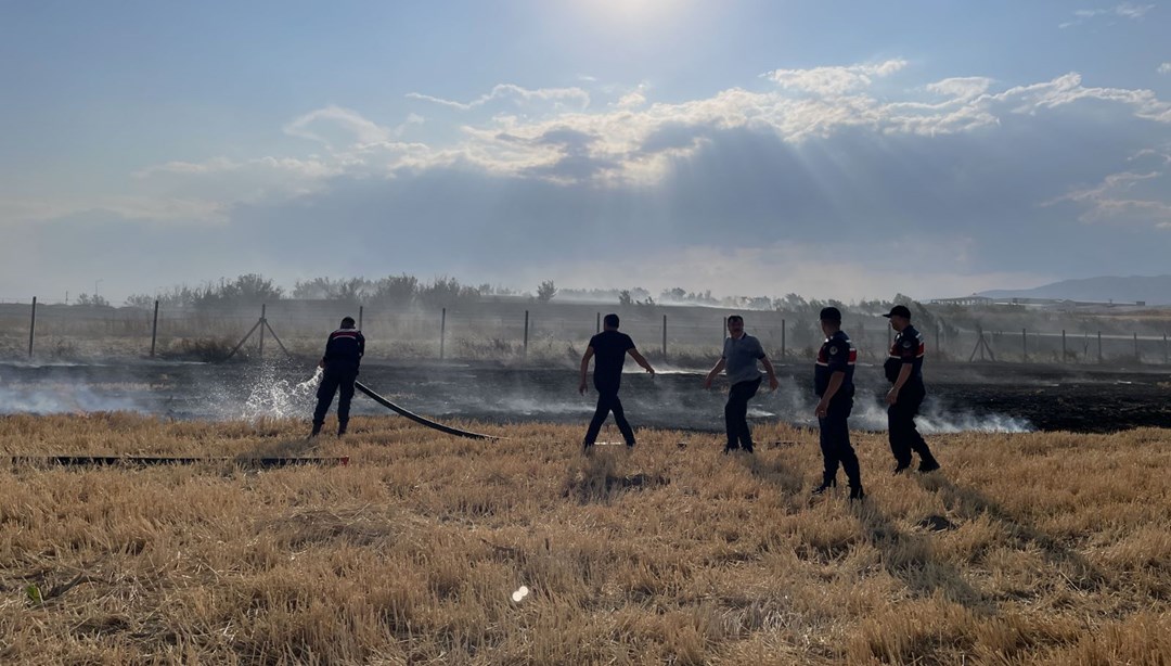 Merzifon'da tarım arazisi küle döndü