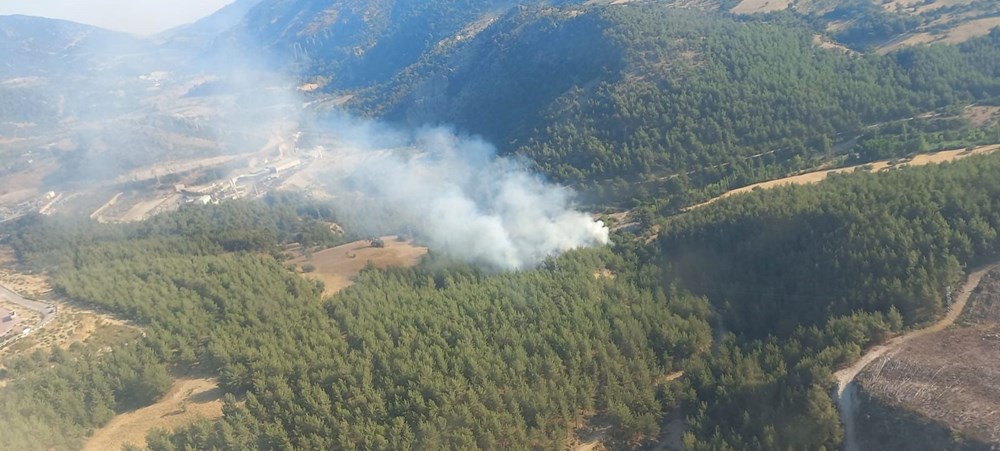 Edirne, Adana, Kahramanmaraş, İzmir ve Balıkesir'de orman yangını - 8