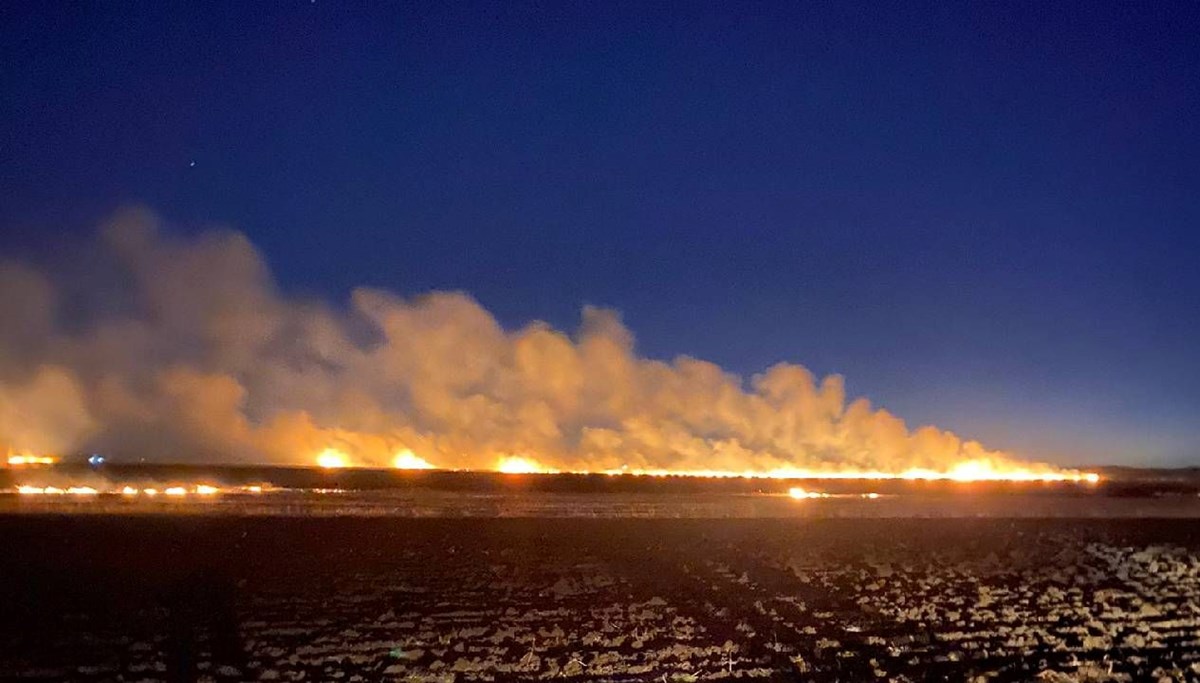 Anız 60 dönüm tarım arazisini kül etti
