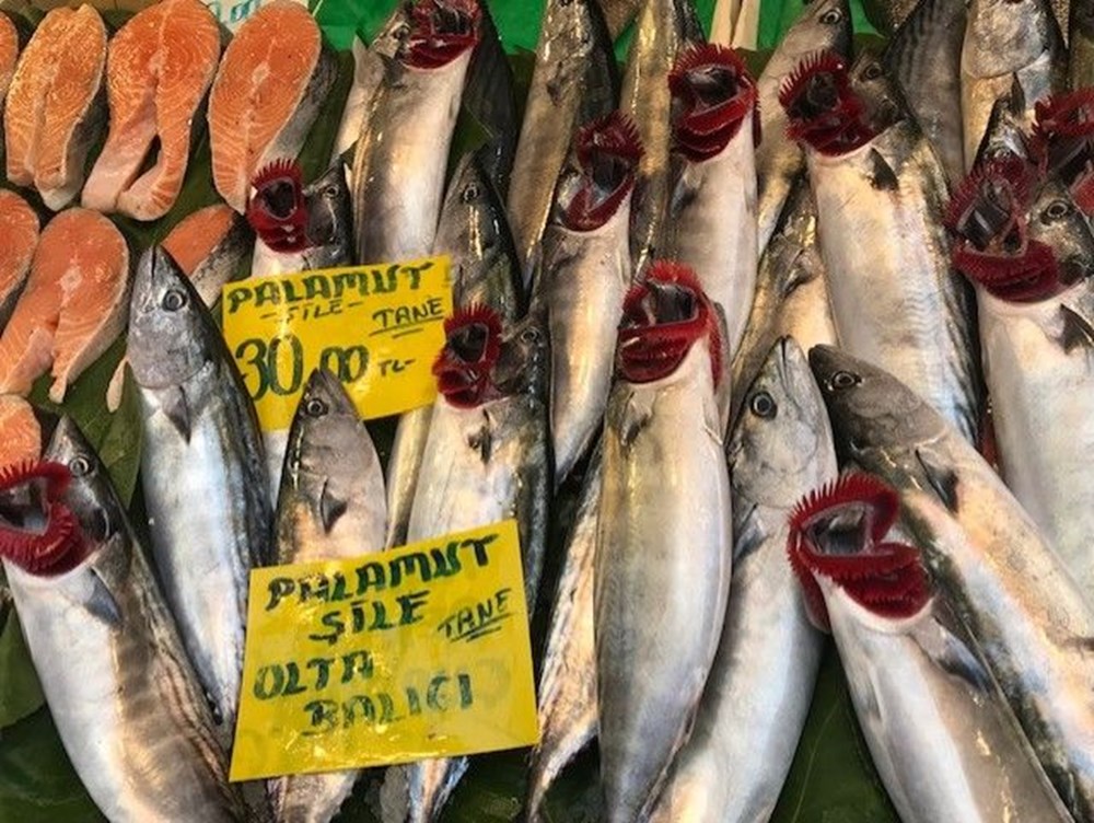 Halden Sofraya Hamsinin Fiyat Yolculugu Son Dakika Turkiye Haberleri Ntv Haber Halden Sofraya Hamsinin Fiyat Yolculugu Son Dakika Turkiye Haberleri Ntv Haber