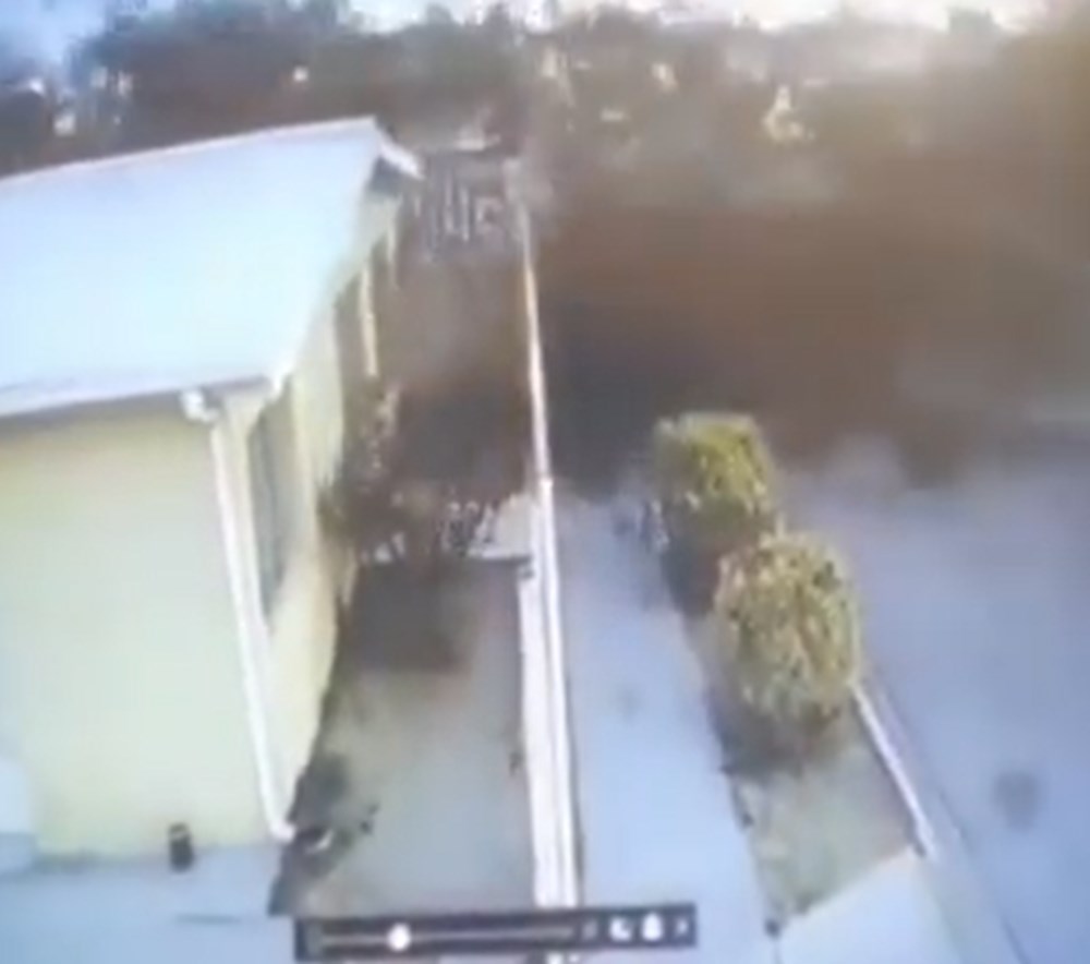 Meksika’da gökyüzünden yüzlerce ölü kuş yağdı: Bilim insanları gizemini çözmeye çalışıyor - 7