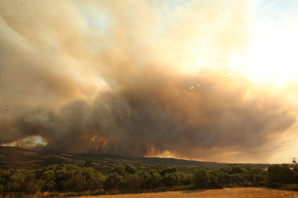Çanakkale'de orman yangını (Alevler ormanlık alanda etkili oluyor) - 2