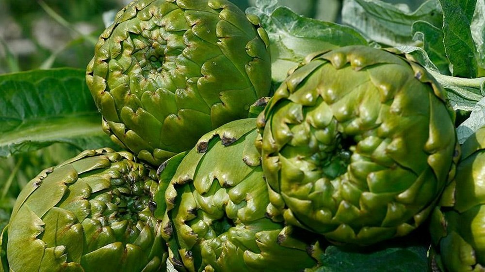 Türkiye'nin 10 lezzeti daha AB'de tescil yolunda - 12