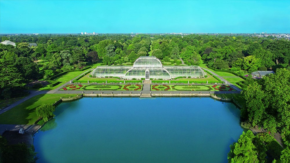 Londra'daki Kew Gardens, bitki biliminin ilkleri ve teklerine ev sahipliği yapıyor | N-Life