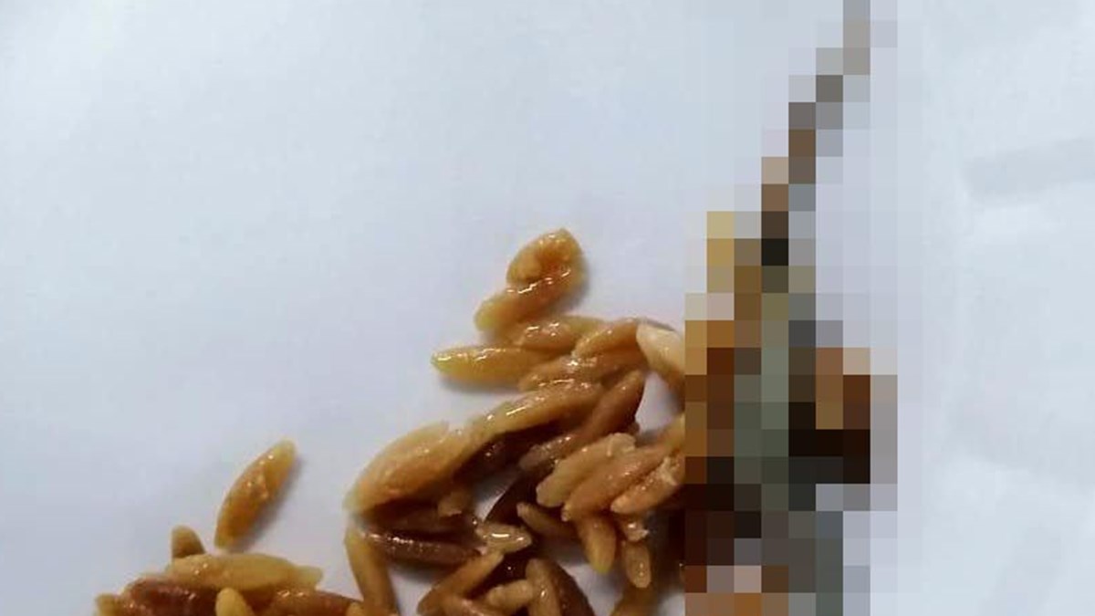 Hastane Yemeginde Kertenkele Iddiasina Inceleme Ntv