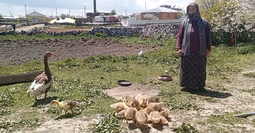 Fiyatı gram altınla yarışıyor: Sofraların gözdesi - 1