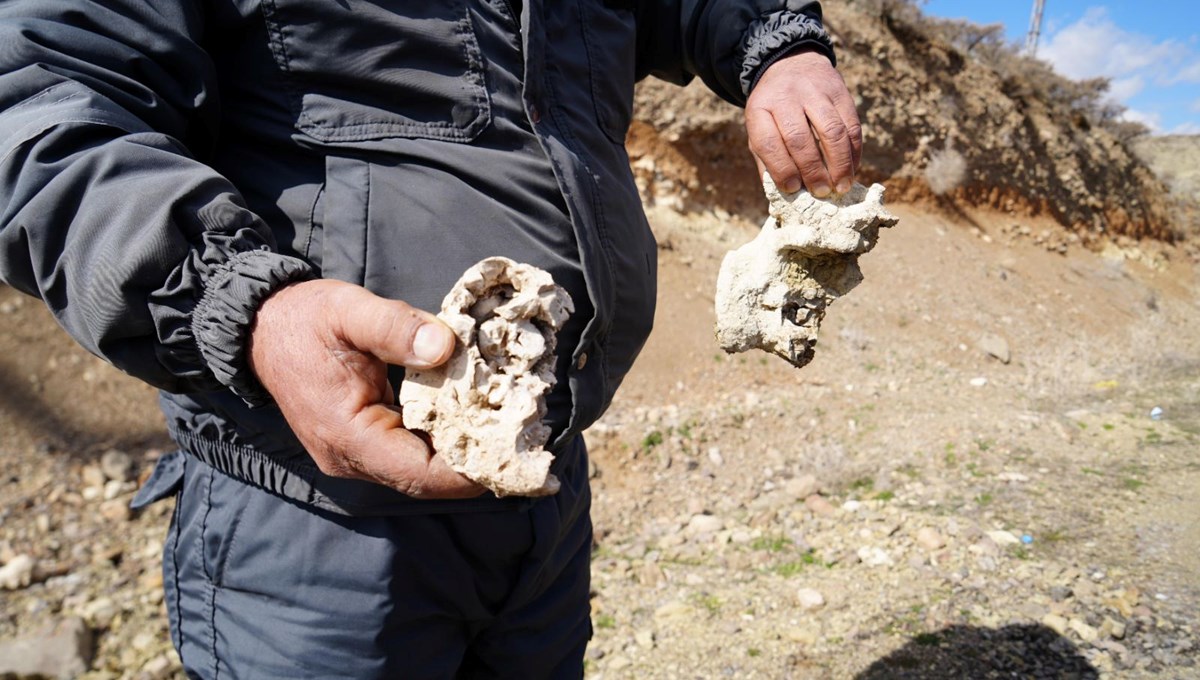 Niğde’de dinozor fosili iddiası: İnceleme sonuçlandı!