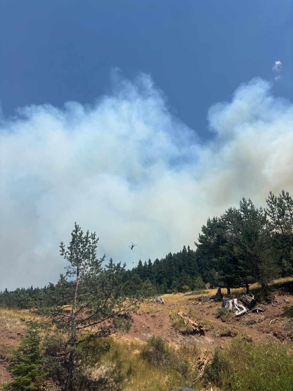 Çankırı'da orman yangını: Ekipler bölgede - 5