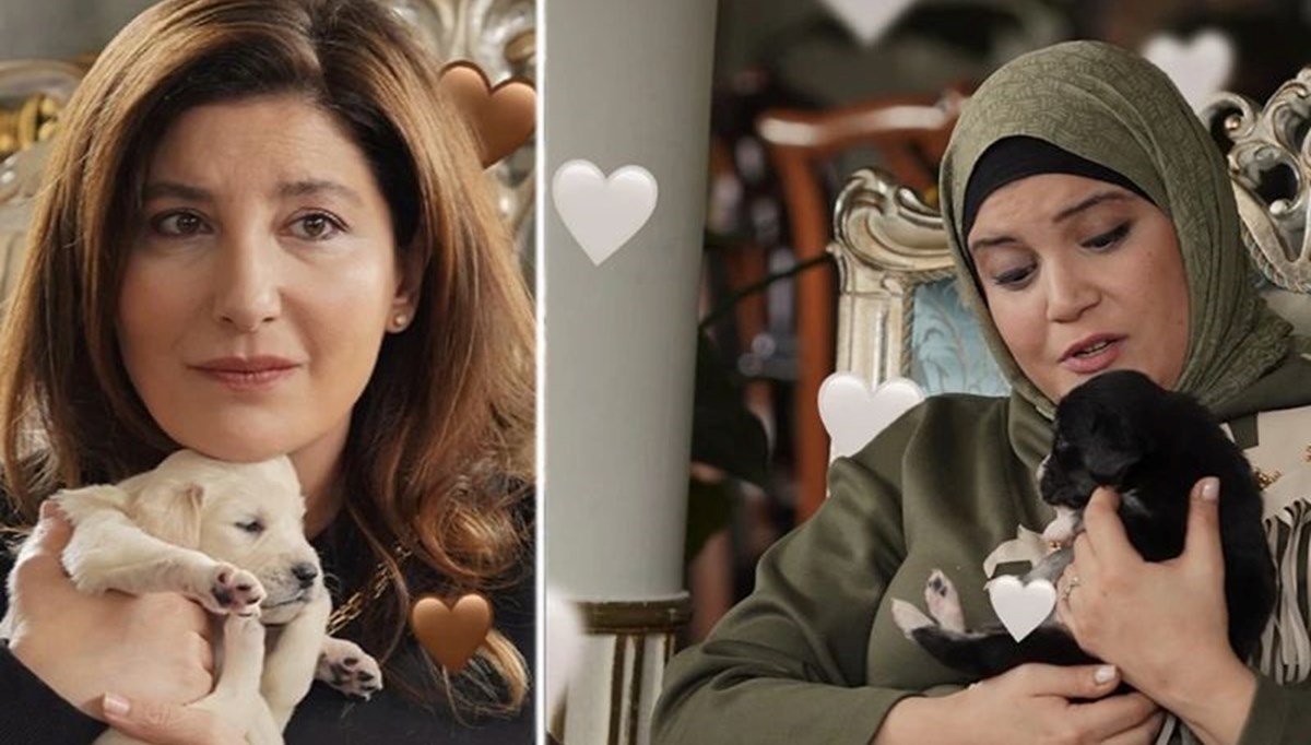 Bakanlıktan Kızılcık Şerbeti'nin köpek sahnesine düzeltme Bakanlıktan Kızılcık Şerbeti'nin köpek sahnesine düzeltme