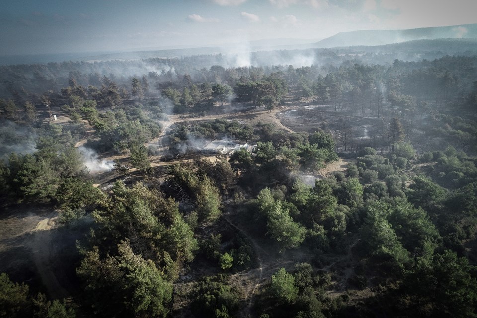 Çanakkale Eceabat'ta 100 hektar orman kül oldu - 2