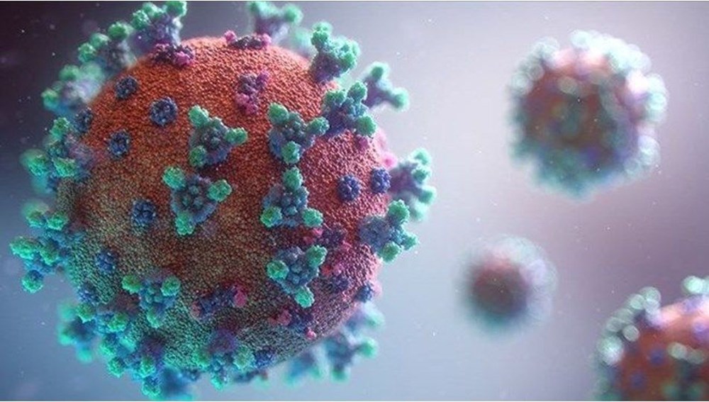 Mutasyonlu corona virüs aşıya dayanıklı hale gelirse ne olacak? - 4