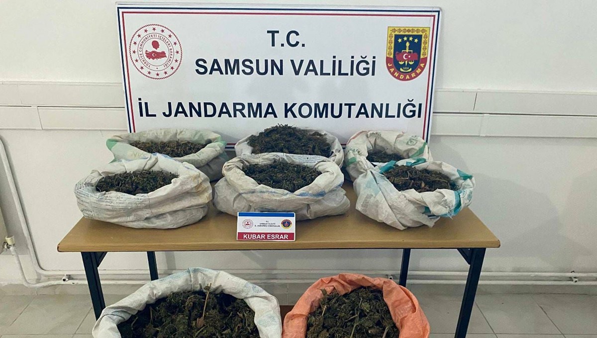 Ormanlık alandaki çadırda 8,5 kilo esrar ele geçirildi