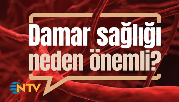 Soru&Cevap: Damar sağlığı neden önemli?