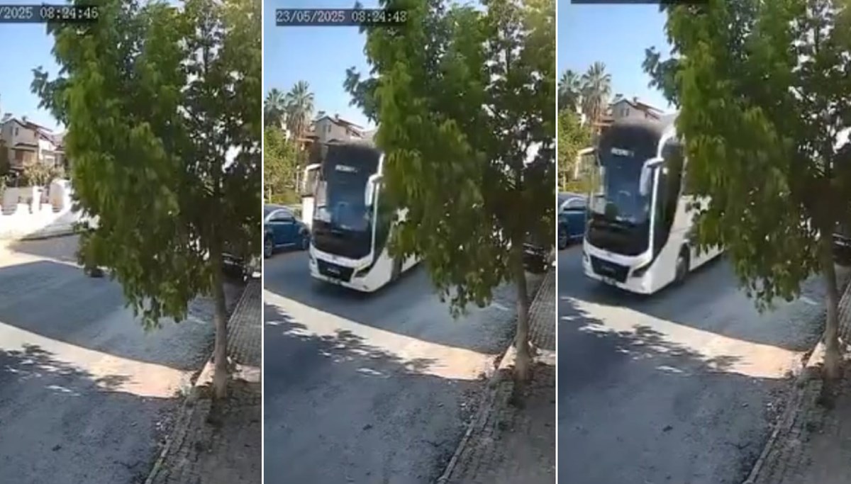 Yolda yatan köpeği ezdi