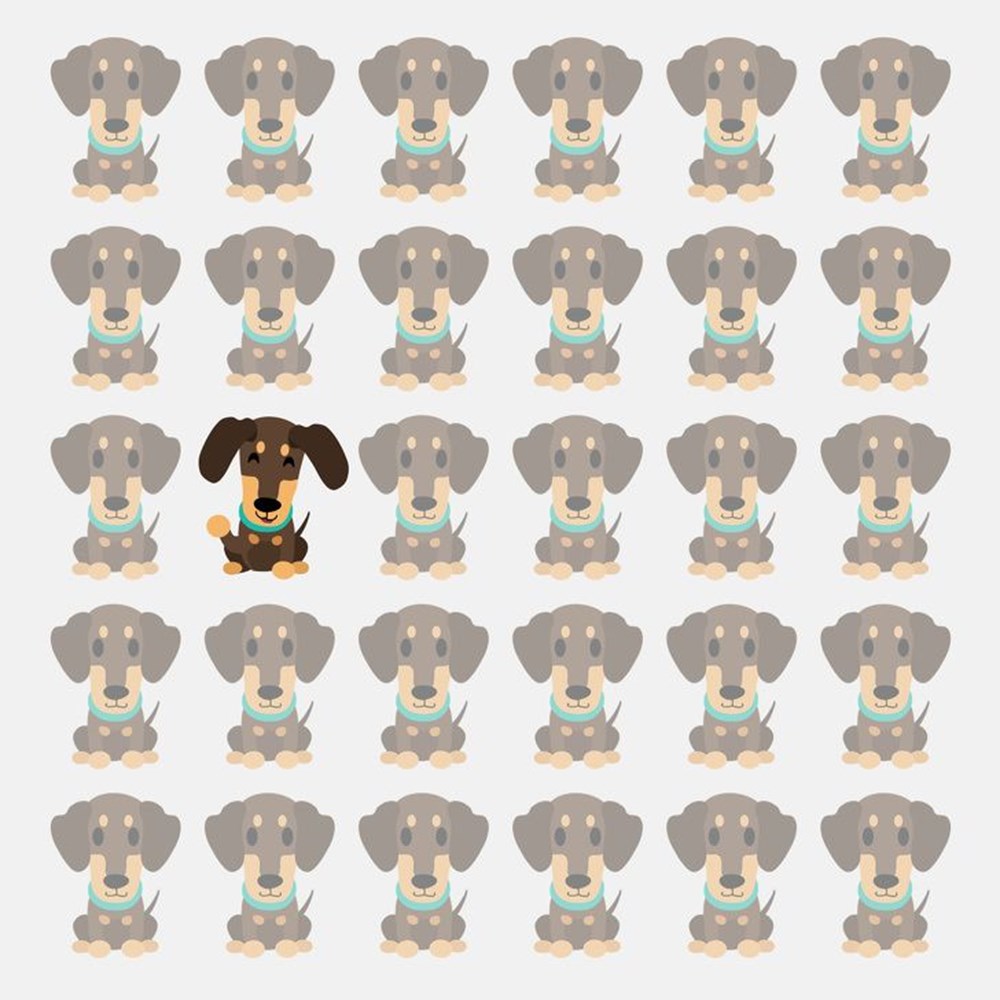 Bu görsel size kim olduğunuzu söylüyor: Resimde ilk önce hangi hayvanı gördünüz? - 119