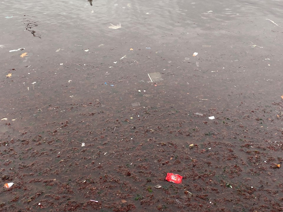 Lodosun ardından Caddebostan sahilini plastik atıklar kapladı - 1