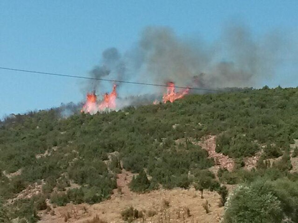 Eskişehir ve Isparta'da orman yangını - 1