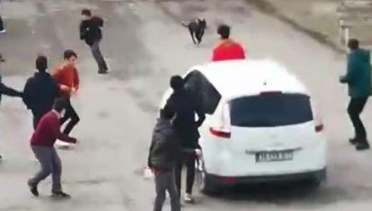 Pitbull okuldaki çocuklara saldırdı: 5 yaralı