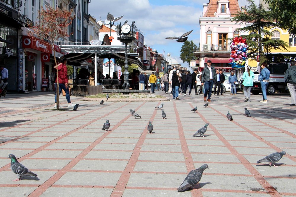 Edirne'de 'katil martı' paniği - 12