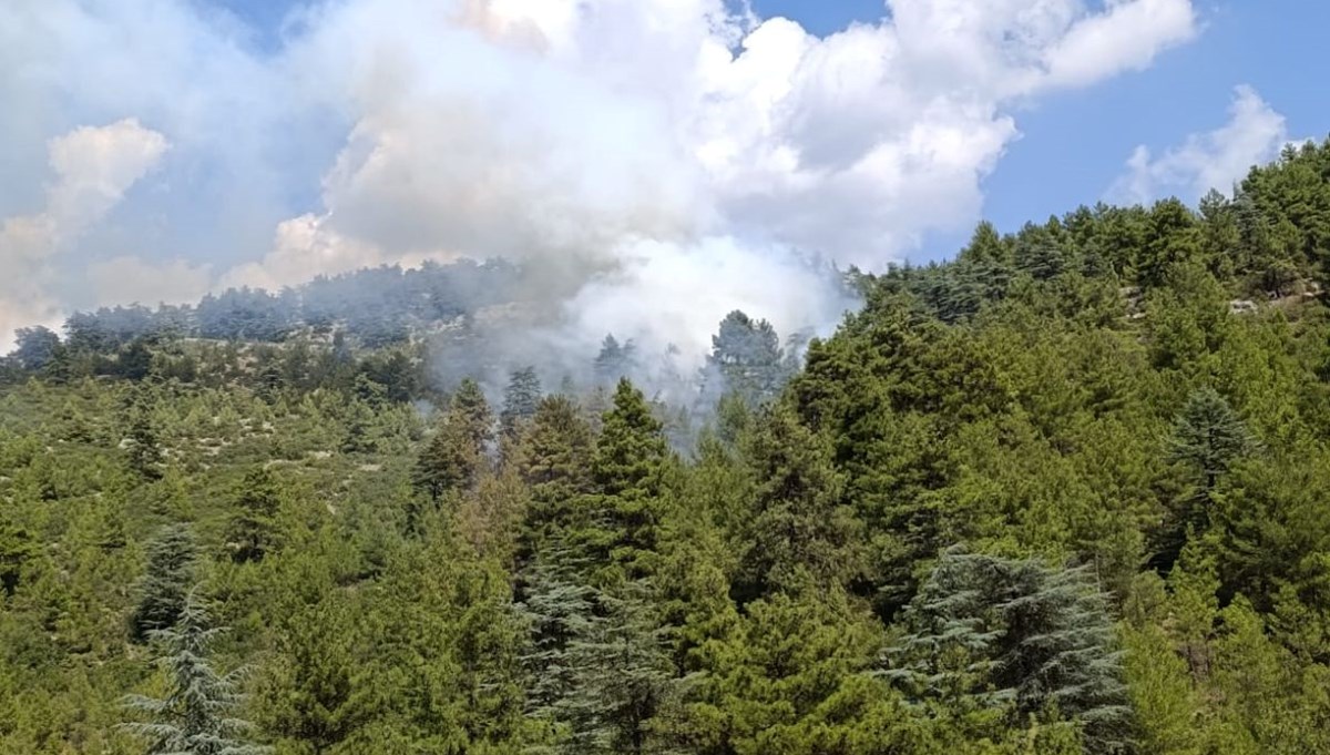 Burdur'da orman yangını