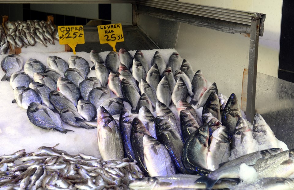 Balık fiyatları yükselişte - 1