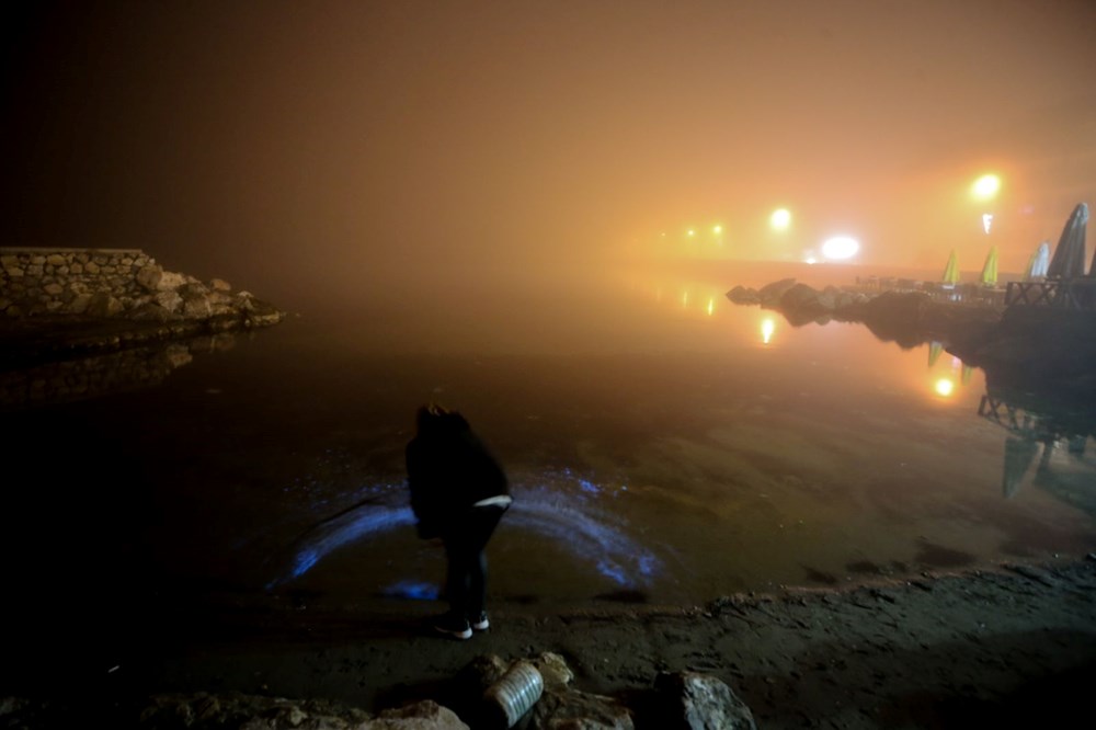 Bursa kıyılarında plankton patlaması: Deniz suyu renk değiştirdi - 11