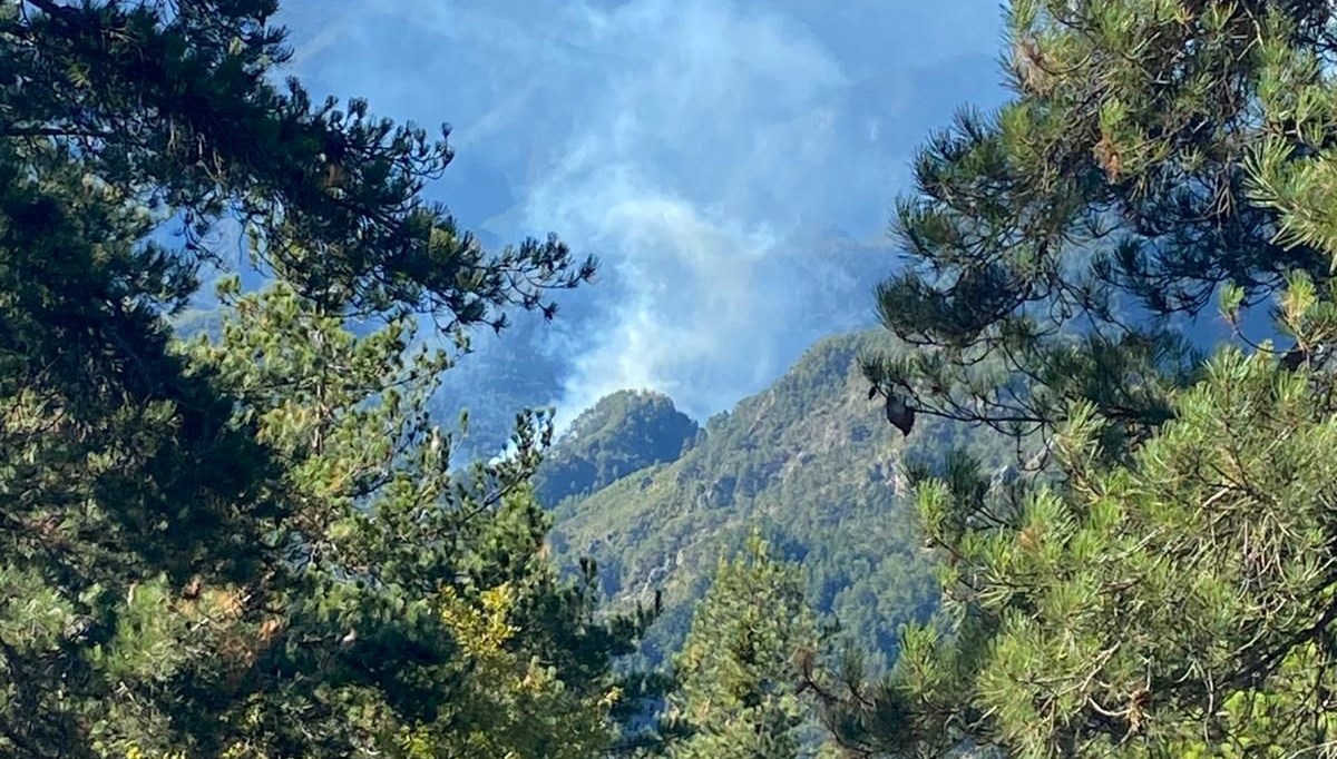 Hatay'da ormanlık alanda yangın