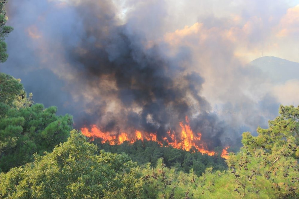 Çanakkale'de orman yangını - 6