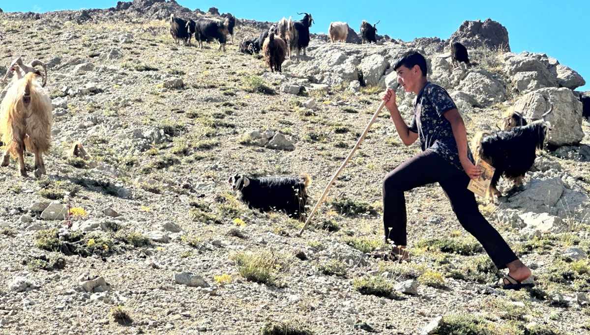 Elazığ'da çobanlık yapan Muhammet Halil, LGS'de derece yaptı