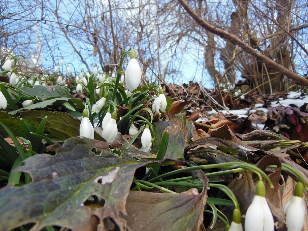 Nevruz Bayramı ne zaman, kimler tarafından kutlanır? Nevruz Bayramı gelenekleri - 5