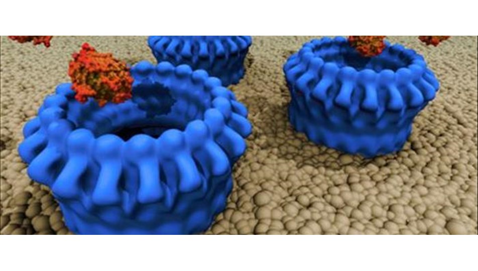 Kanser katili proteinin çalışma sistemi çözüldü