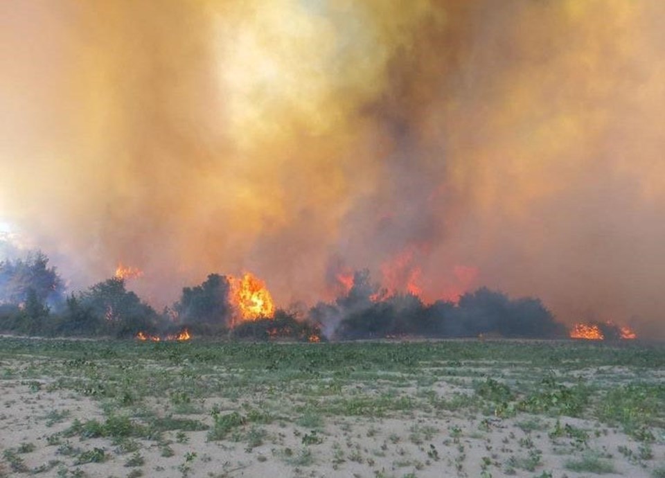 Manisa'da orman yangını: 2 gözaltı - 1