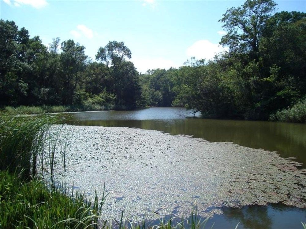 Kurban Bayramı tatilinde İstanbul'a yakın gidilecek yerler - 26