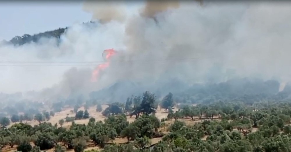 İzmir'de orman yangını: Müdahale sürüyor - 6