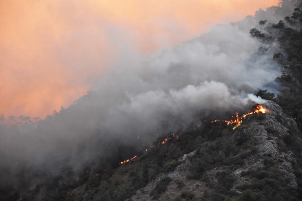 Alevler Hızla İlerliyor 15 Muğla/Milas