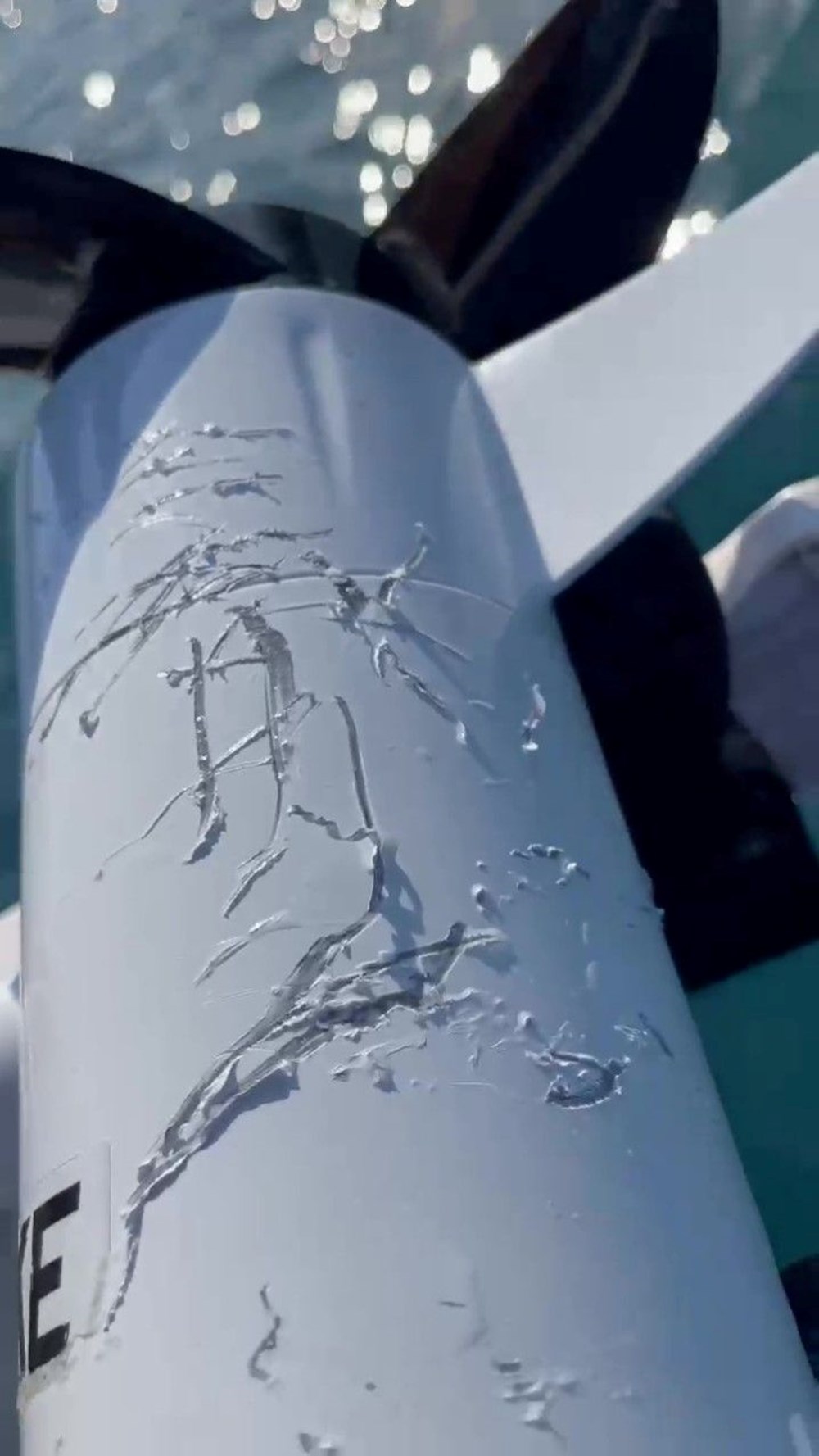 Yavru köpek balığı teknesine saldırdı: ''Akdeniz'de böylesini hiç görmemiştim'' 75