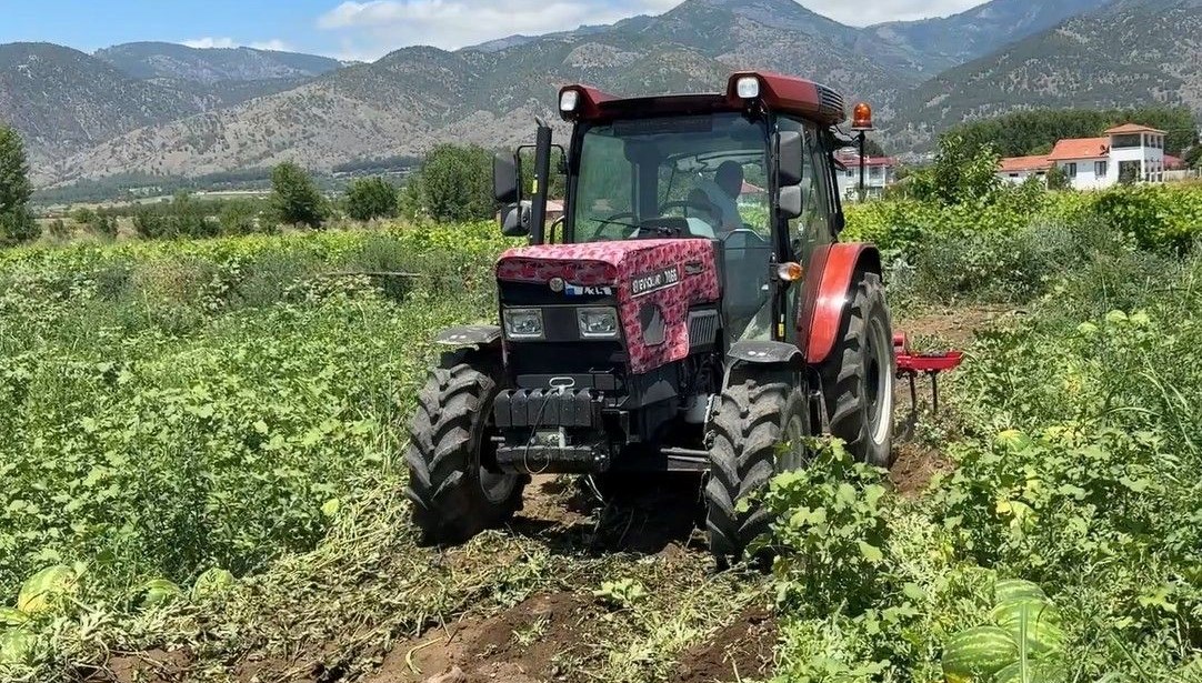 Dönüm fiyatı 10 bin lira: Hasat başladı
