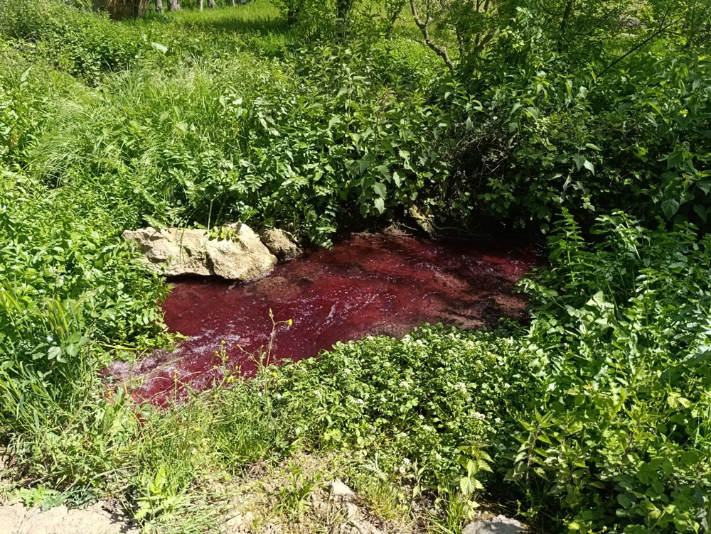 Gören bir daha baktı: Bursa'da bu dere "kan" ağlıyor 75 EGB3i6A30kekuRHF1D6ROA