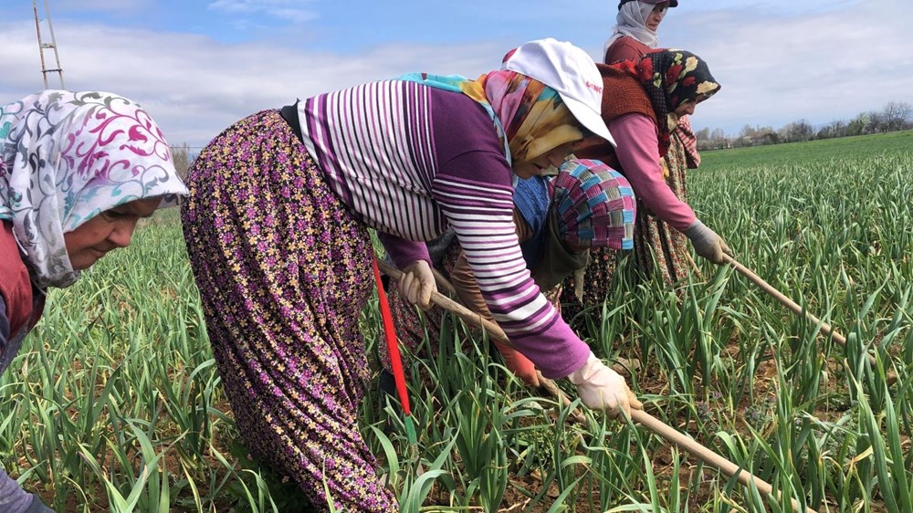 EH2kSFe hU2mch2 5CjmiQ